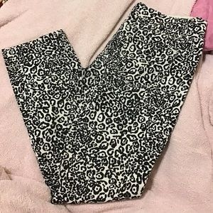 Ann Taylor Modern Fit Jeans - Leopard Print -12